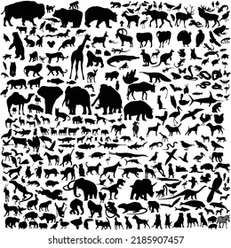Collection of various animals black vector silhouette  isolated on white background