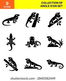 A collection of various anole lizard graphic symbols displaying reptile silhouettes on branches and rocks, presented in dark tones against a plain background, creating an educational and decorative set suitable for nature themes.