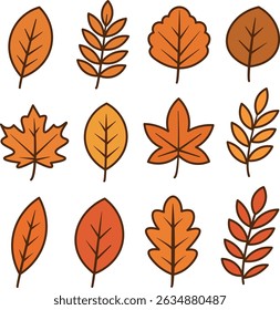 A collection of various autumn leaves in shades of orange and yellow. The leaves are illustrated with simple outlines and diverse shapes.
