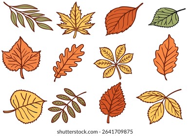 A collection of various autumn leaves in shades of orange, yellow, and green. The leaves are illustrated with distinct shapes and textures.