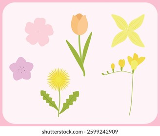 Collection of Various Beautiful Flowers