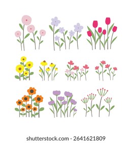 Collection of various beautiful hand-drawn colorful flower arrangements