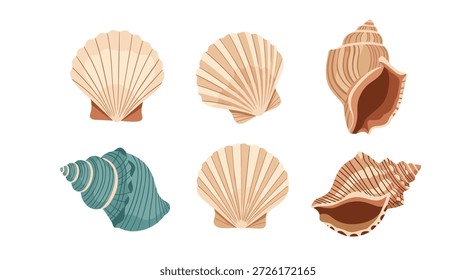 Coleção de várias conchas de mar bonitas em diferentes formas, tamanhos e cores, incluindo vieiras e conchas para decoração de praia.
