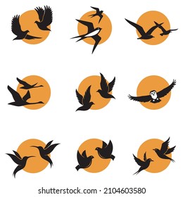 collection of various bird icons against background of sun