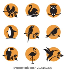 collection of various bird icons against background of sun
