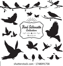 A collection of various bird silhouettes, flapping birds