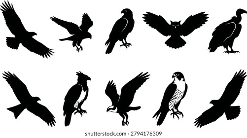 Collection of various bird silhouettes flying and standing still birds of prey