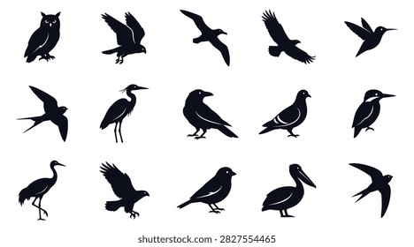 A collection of various bird silhouettes including an owl, eagle, hummingbird, heron, crow, pigeon, kingfisher, pelican, and swallow in black.