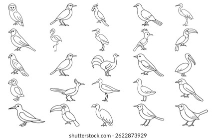 A collection of various bird species depicted in simple, black outline drawings against a white background.