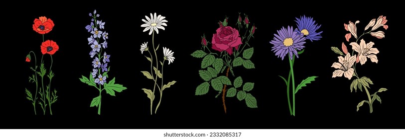 Collection of various birth month summer, autumn blooming flowers. Rose, Larkspur, poppy, lily, daisy, aster colorful vector illustrations isolated on black background. Hand drawn modern floral set