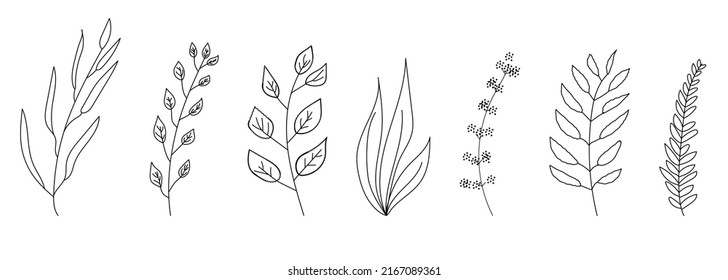 Colección de varias ramas con hojas dibujadas a mano, líneas de contorno negro sobre un fondo blanco. Un conjunto de elementos de diseño botánico. Ilustración vectorial floral aislada monocromática