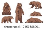 Collection of various brown bear poses in dynamic natural wildlife settings