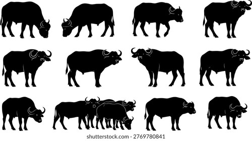 Collection of various buffalo silhouettes in different stances for wildlife graphic design and vector art usage