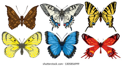 Collection of various butterflies in retro style. Set of realistic colorful drawings of butterflies. Vector illustrations isolated on the white background