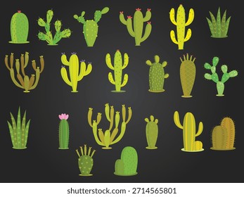 Colección de varios cactus y plantas suculentas en diferentes Formas y tamaños.
