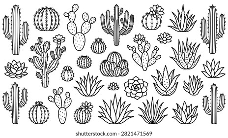 Collection of various cactuses and succulents. Desert plants in different shapes and sizes. Outline vector illustration set.