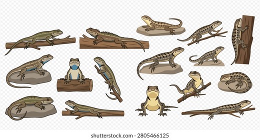 A collection of various cartoon lizards and geckos in different poses, some on rocks, some on branches, on a transparent background.