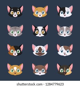 Collection of various cat avatars
