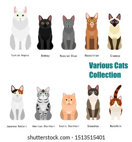 collection of  various cats with breed name