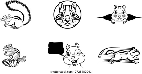 Colección de varias ilustraciones de ardilla en diferentes poses y expresiones