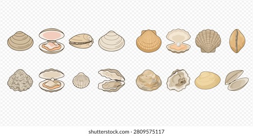 A collection of various clams and oysters, both open and closed, showcasing different shell shapes and textures on a transparent background.