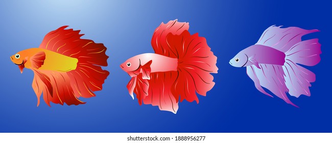 Collection of various colored Betta Fish. Abstract Image of Betta fish of various types and colors. Vector eps 10