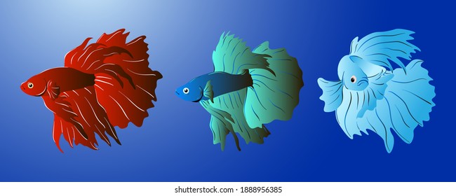 Collection of various colored Betta Fish. Abstract Image of Betta fish of various types and colors. Vector eps 10