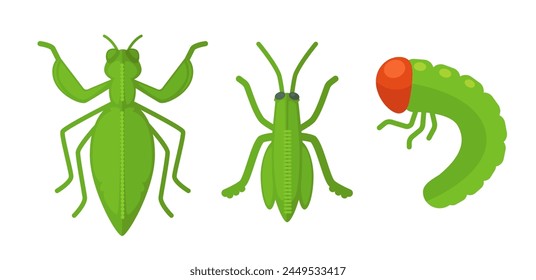 A collection of various colorful insects in a flat vector style, vibrant and isolated on white.