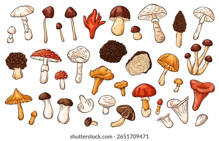 Coleção de várias ilustrações coloridas de cogumelos isoladas sobre fundo branco, incluindo fungos comestíveis e selvagens em estilo cartoon. Perfeito para o conceito de natureza, biologia e design botânico da floresta alimentar