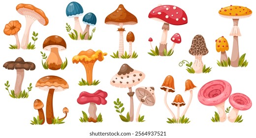 Collection of various colorful mushrooms. Set of edible and poisonous forest mushrooms. Forest grass and leaves. Cartoon vector illustration isolated on a white background.