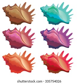 collection of various colorful seashell - isolated on white background - vector illustration