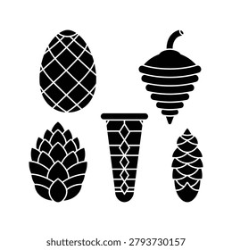 Collection of various conifer pine cones with pinecone evergreen botanical