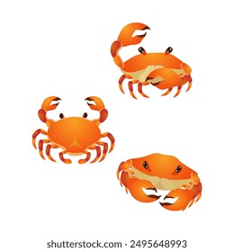 a collection of various crab poses with large claws