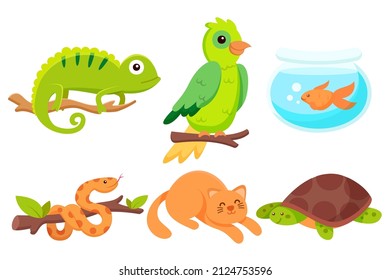 collection of various cute animal with Activity in cartoon character Graphic design for banner, sticker advertising party theme Vector illustration