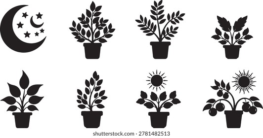 Collection of various decorative potted plants foliage stems and hanging greenery design elements.