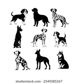 Collection of various dog breeds illustrated in black and white on a minimalist background