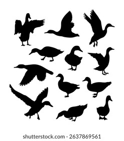 collection of various duck silhouettes