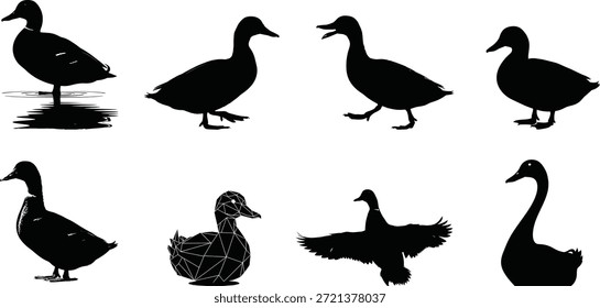 Collection of various duck silhouettes in different poses