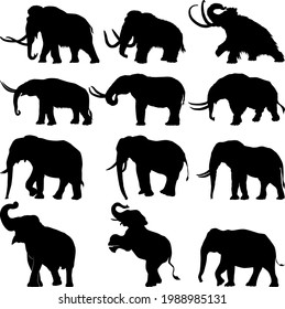 A collection of various elephant silhouettes in various poses