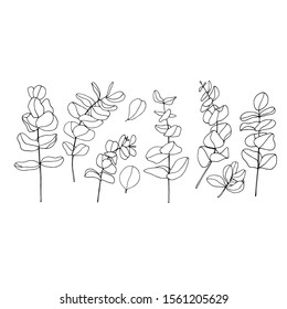 Collection of various eucalyptus branches with leaves hand drawn  on white background. Bundle of botanical design elements. Monochrome realistic floral vector illustration