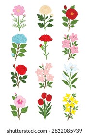 A collection of various flower illustrations