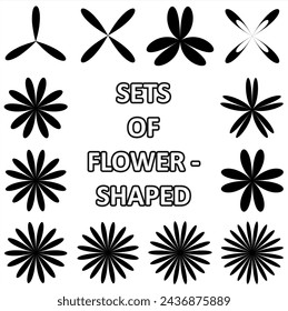 Colección de varias formas de pétalos de flores sobre fondo transparente