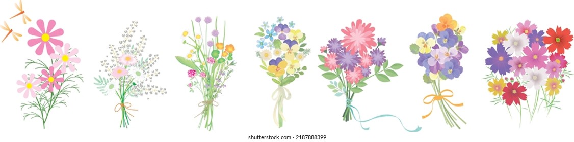 Collection of various flowering plants with stems and leaves. Set of beautiful bouquets, garden and field flowers vector flat illustration isolated on white. Floral decoration or gift.