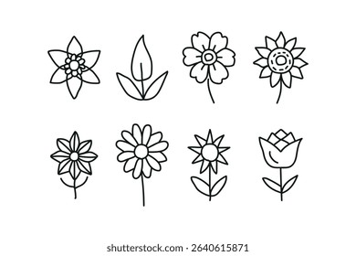A collection of various flowers arranged on a clean white background.