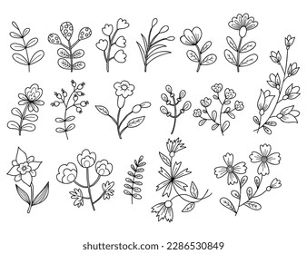 Collection various flowers and branches. Vector illustration. Isolated linear hand drawn doodle plants