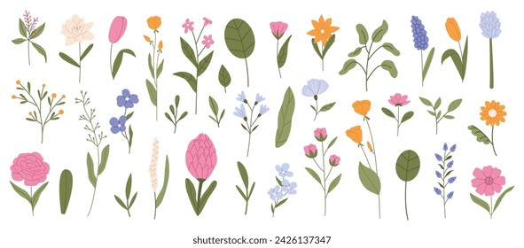 Collection of various flowers, leaves and plants. Botanical, decorative wildflowers. Flat vector hand drawn illustration isolated on white background.