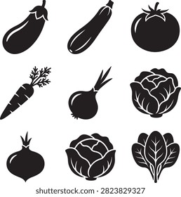 Collection of various fresh vegetable including eggplant, zucchini, tomato, carrot, onion, cabbage, turnip, and spinach leaves