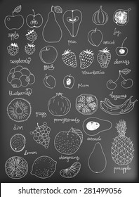 Collection of various fruits. Hand - drawn elements for design on chalkboard background.