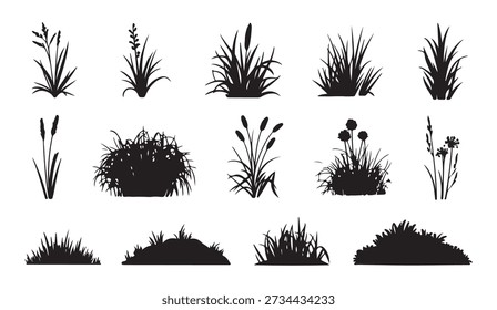 Collection of various grass, plant, and weed silhouettes for landscape or garden design