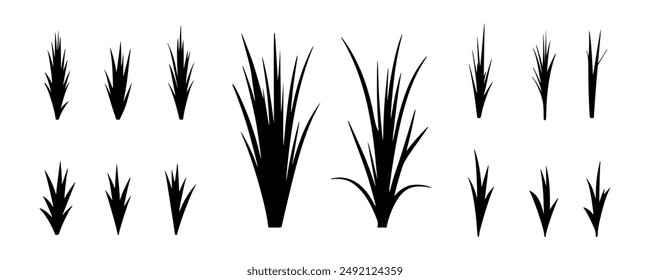 A collection of various grass silhouettes in black, isolated on a white background.